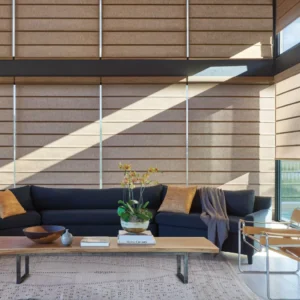 Motorised Roller Shades in a Modern Goa Apartment Living Room