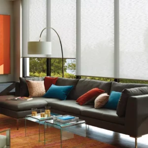 Roller Shades in a Modern Goa Apartment Living Room